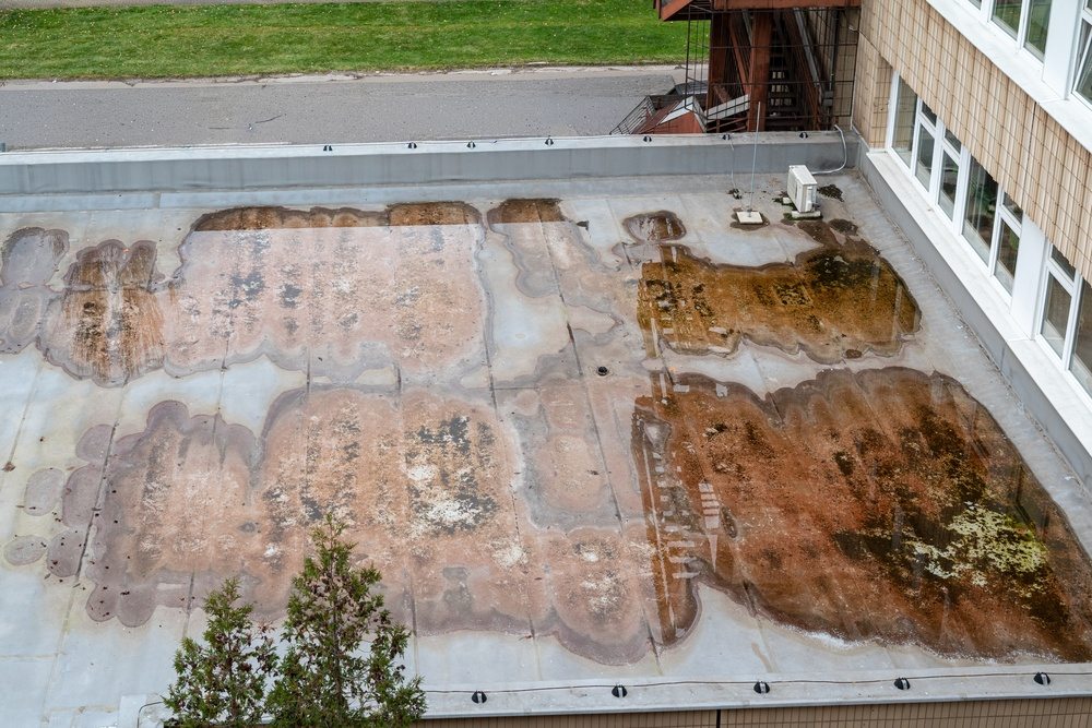 Why Flat Roof Drainage Problems Cause Repeat Leaks and How to Prevent Them