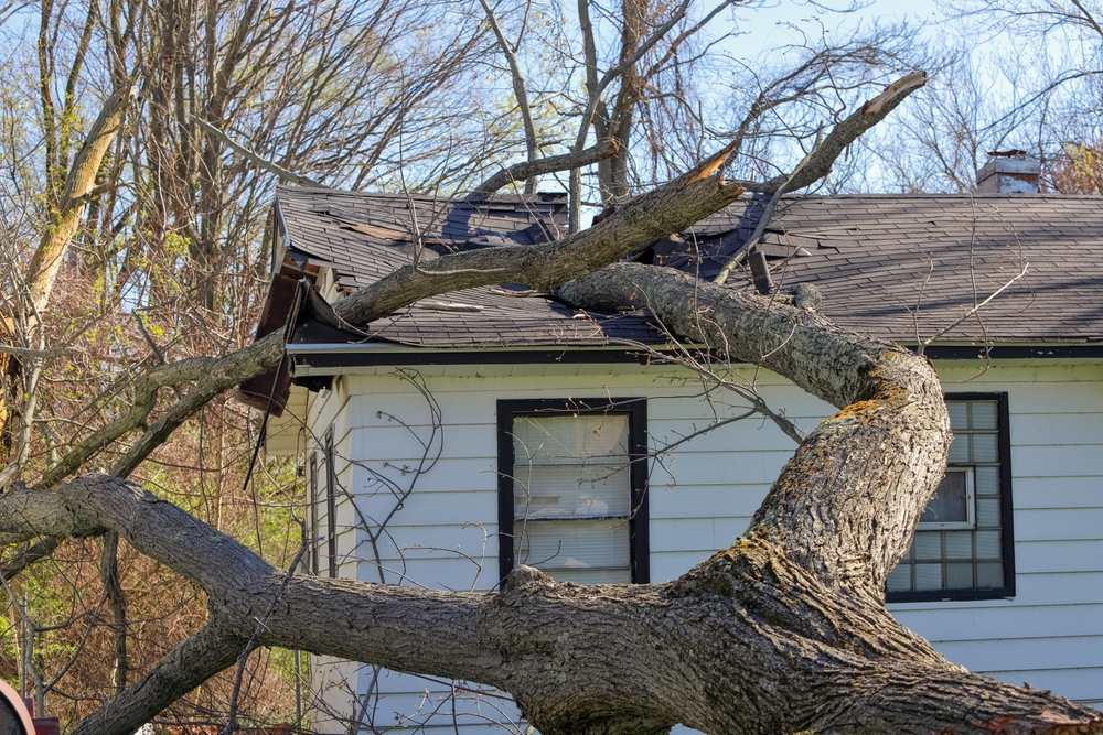 When Storm Damage Warrants a Roofing Inspection and Insurance Claim